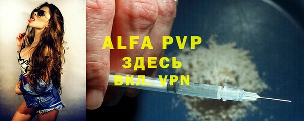 сатива Чердынь