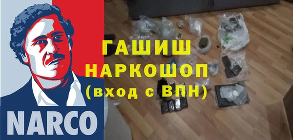 сатива Чердынь