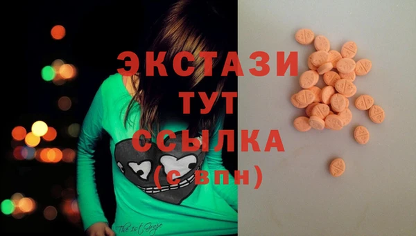 сатива Чердынь