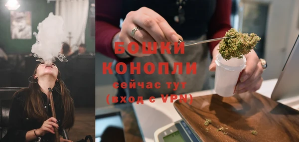 сатива Чердынь