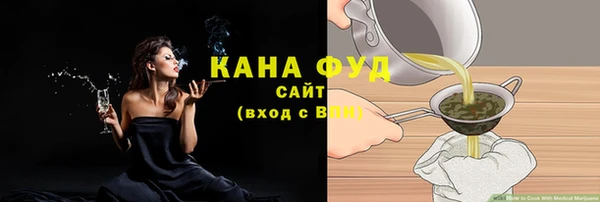 сатива Чердынь
