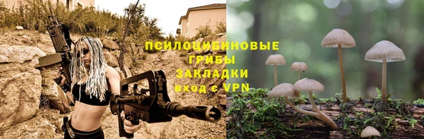 spice Ачинск