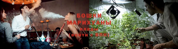 a pvp Бердск
