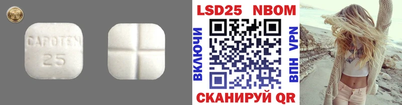 даркнет сайт  Грозный  LSD-25 экстази кислота 