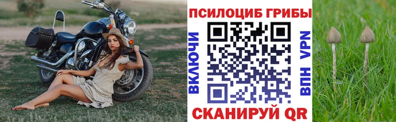 kraken ссылки  Грозный  Галлюциногенные грибы мухоморы  купить  