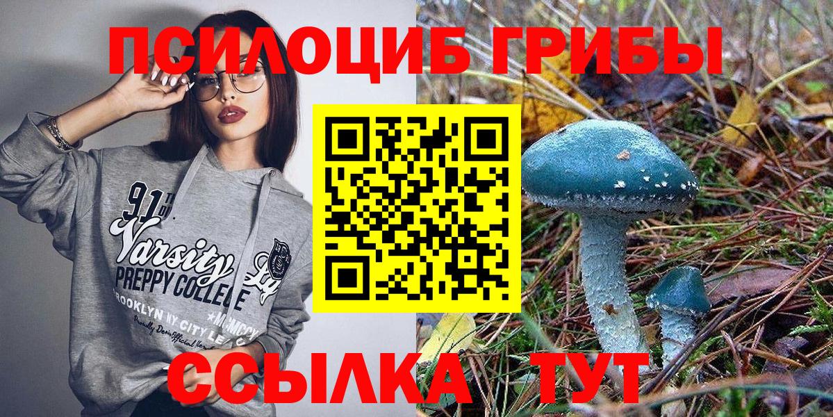 Галлюциногенные грибы ЛСД Грозный