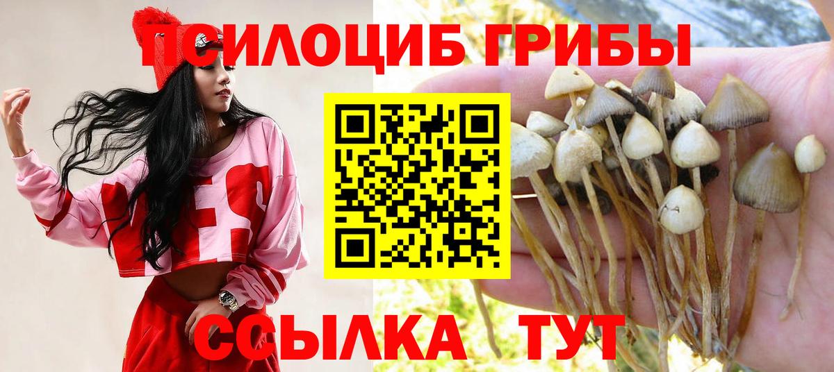 Галлюциногенные грибы мицелий  Вход с VPN  Грозный 