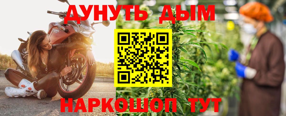 Каннабис сатива Грозный